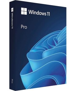 מערכת הפעלה וינדוס 11 בעברית Microsoft HAV-00164 Win11 Pro 64Bit Hebrew