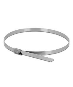 אזיקונים נירוסטה סט 10 יח' DELOCK | 18771