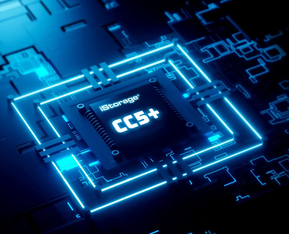 כרטיס לזיכרון נייד מוצפן מעוצב iStorage diskAshur2 SSD 256-bit - Black